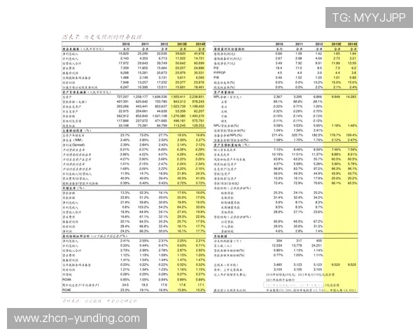马来西亚云顶股份公司治理结构及其对企业持续增长的影响