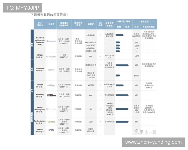 云顶新耀官网优惠最新优惠政策详解让玩家享受更多专属福利与折扣